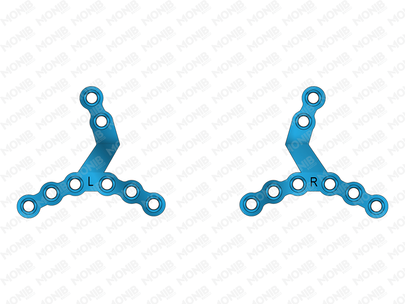 Paulus Chin Plate System